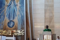 IMG-20220717-WA0045-Medium