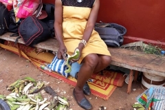 IMG-20181228-WA0013 (Small)