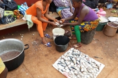 IMG-20181228-WA0014 (Small)