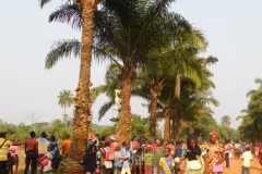 IMG-20181230-WA0044 (Small)