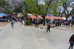 036-008.-Michalicki-charyzmat-Medium