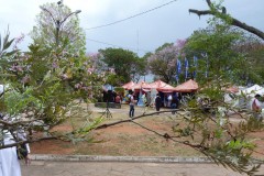 036-011.-Michalicki-charyzmat-Medium