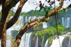 022.-08-Yguazu-Medium