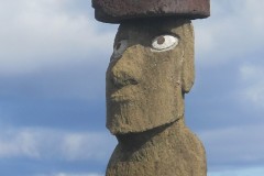 031.-009-Gigantyczny-Moa-Medium