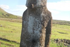 031.-010-Gigantyczny-Moa-Medium
