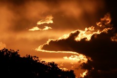 023.-4-Księża-idą-na-mszę-św.-Medium