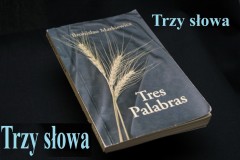 0045-009-Trzy-slowa-Medium
