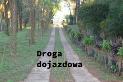 055_4_Natalicio_2015__Medium_