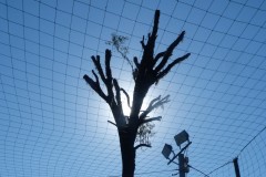 026.-1.-Ślady-więźnia-Medium