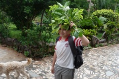 003-Spowiedź-mrówek