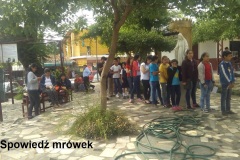 005-Spowiedź-mrówek