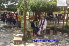 006-Spowiedź-mrówek