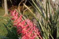 IMG_20170911_161209-Mobile