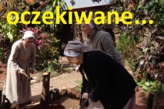 025.-003-Zwiastunki-oczekiwane-Medium