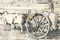 I.-005-Carreta-wóz