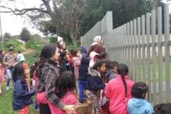 IMG-20190719-WA0004 (Small)