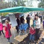 Niedz. Mis. Gołabki