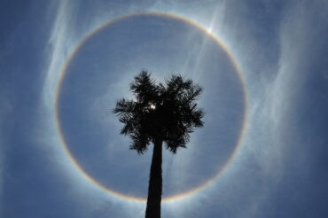 Ślady pod Krzyżem Południa – Prezent dla Dzieciątka Jezus