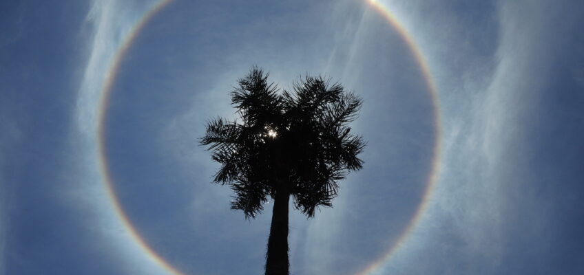 Ślady pod Krzyżem Południa – Prezent dla Dzieciątka Jezus