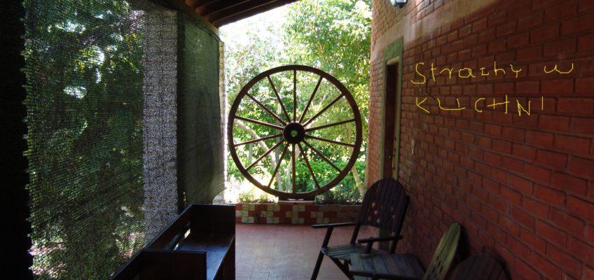 Ślady pod Krzyżem Południa – Strachy w kuchni