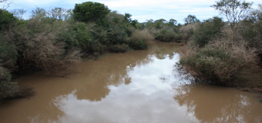 Ślady pod Krzyżem Południa – „Duchowość wujka” Markiewicza