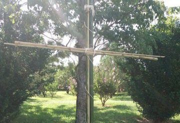 Ślady pod Krzyżem Południa – Wierzba płacząca